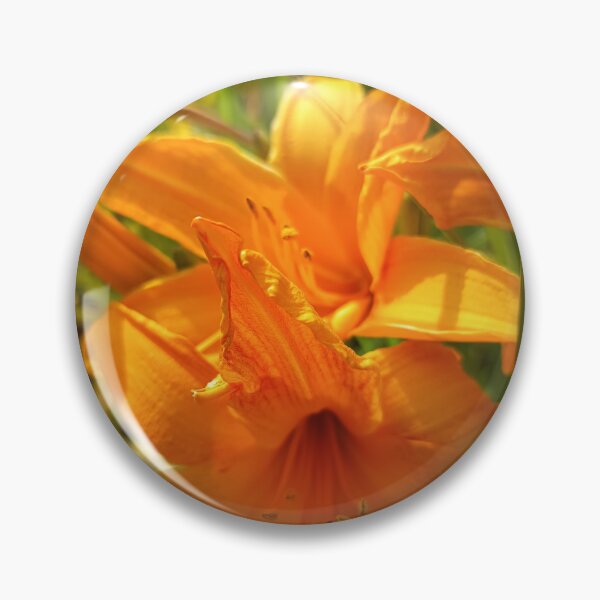 Item preview, Orange Daylily Summer Bloom Close-Up designed and sold by PhuongVoArt.