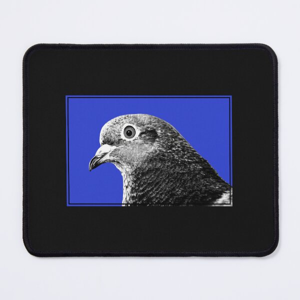 Item preview, Urban Pigeon Portrait on Royal Blue Background designed and sold by pigeonlovrs.