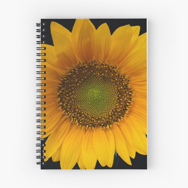Item preview, Isolated Yellow Sunflower Flower Natural Botanical Graphic designed and sold by BalkanBloom.