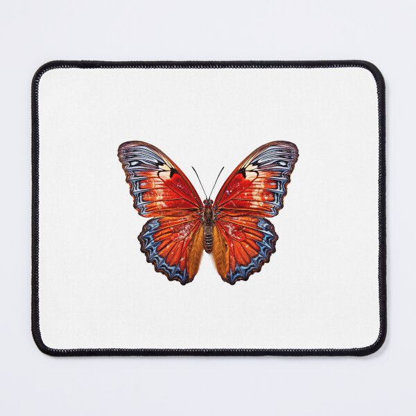 Item preview, Flat lay view of the butterfly on transparent background designed and sold by MiraCleAI.