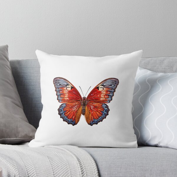 Item preview, Flat lay view of the butterfly on transparent background designed and sold by MiraCleAI.