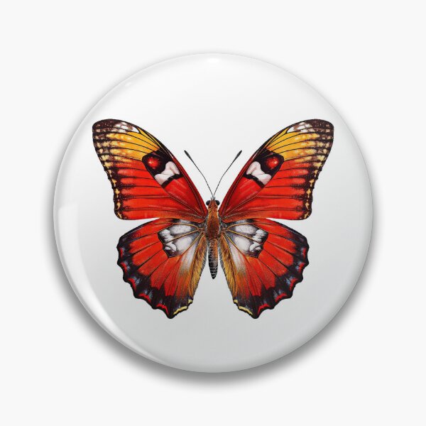 Item preview, Flat lay view of the butterfly on transparent background designed and sold by MiraCleAI.