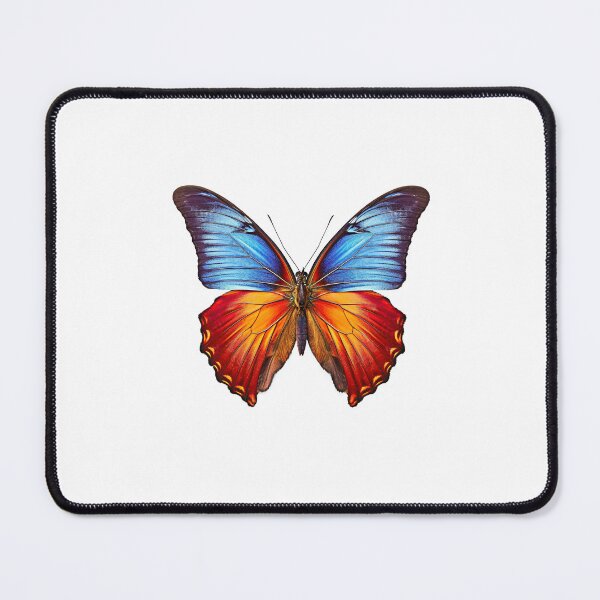 Item preview, Flat lay view of the butterfly on transparent background designed and sold by MiraCleAI.