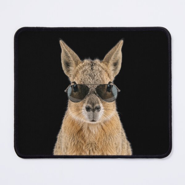 Item preview, Cute Baby Patagonian Mara Wearing Sunglasses Funny designed and sold by RareLavender.