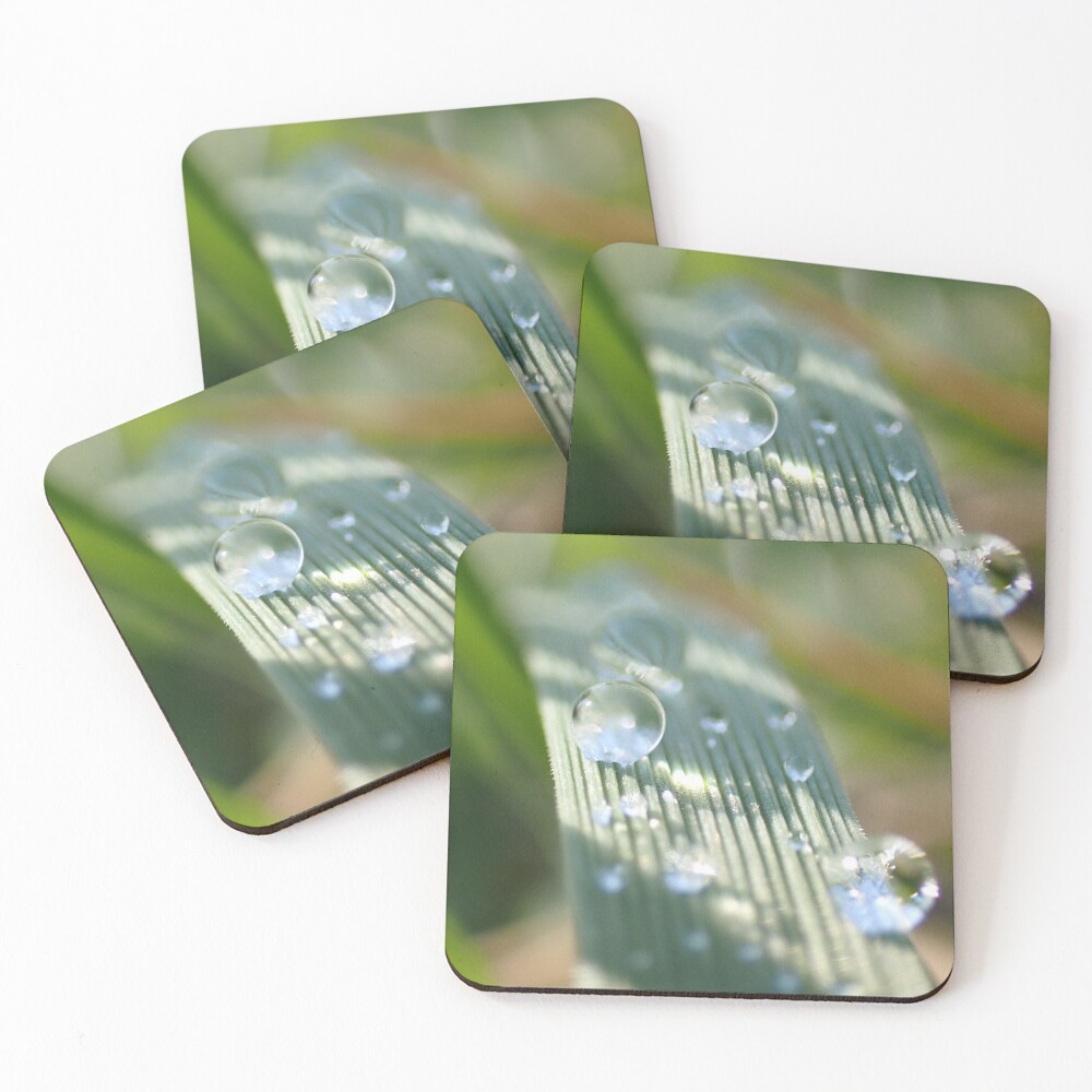 Item preview, Coasters (Set of 4) designed and sold by R-Rayton.