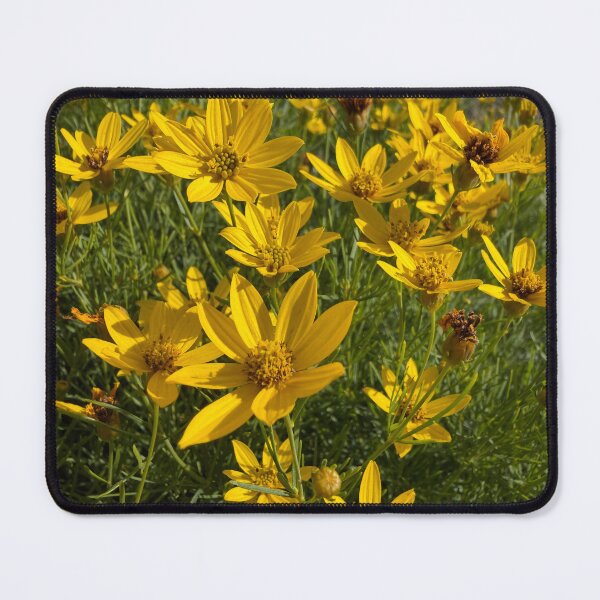 Item preview, A Field of Yellow Flowers designed and sold by Betsy Phillips.