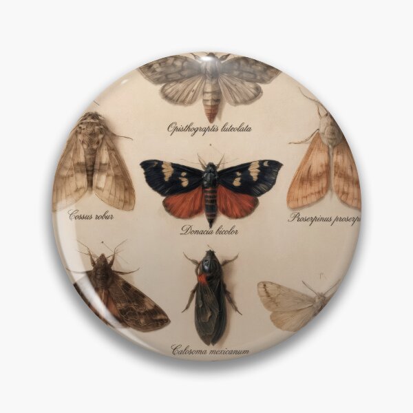 Item preview, Wall Art - Postcard - T-shirt: Vintage Entomology Collection – Moths & Insects designed and sold by ForeverPrintsOK.
