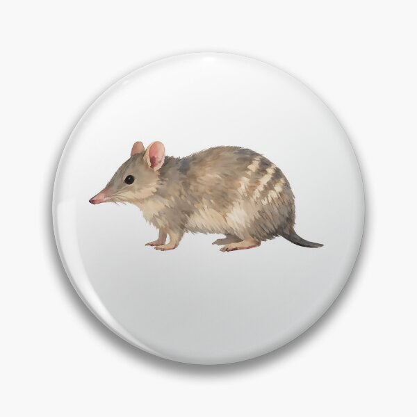Item preview, Eastern Barred Bandicoot Watercolour designed and sold by Jaruart.