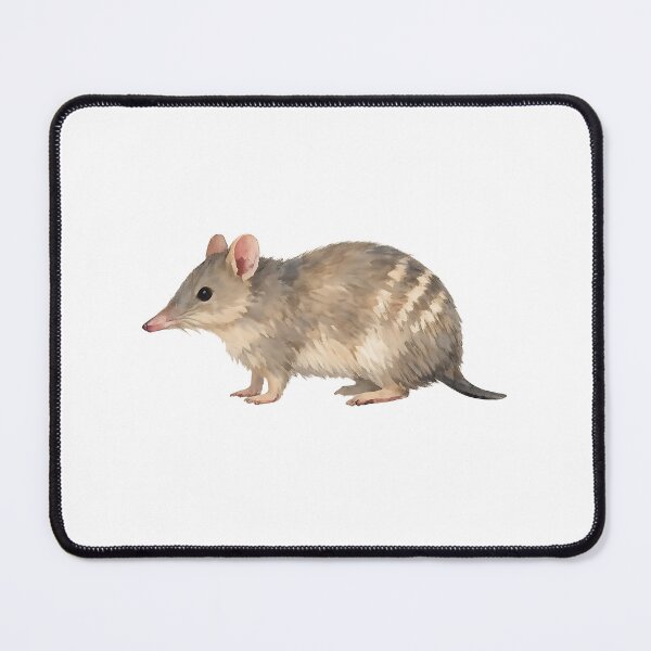 Item preview, Eastern Barred Bandicoot Watercolour designed and sold by Jaruart.