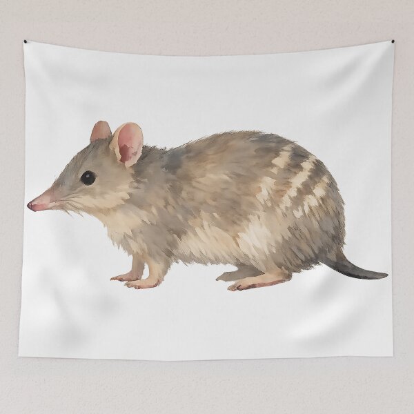 Item preview, Eastern Barred Bandicoot Watercolour designed and sold by Jaruart.