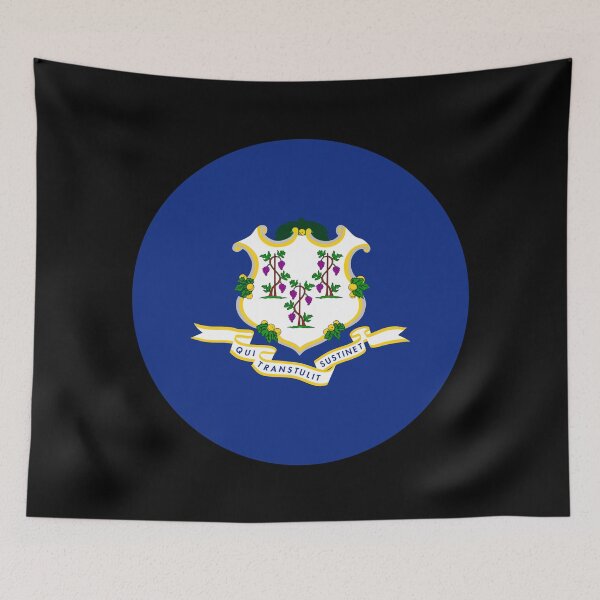 Artikelvorschau, Connecticut Circle Flag CT entworfen und verkauft von shitpostee.