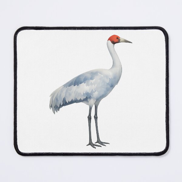 Item preview, Brolga Crane Watercolour designed and sold by Jaruart.