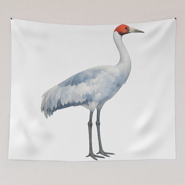 Item preview, Brolga Crane Watercolour designed and sold by Jaruart.