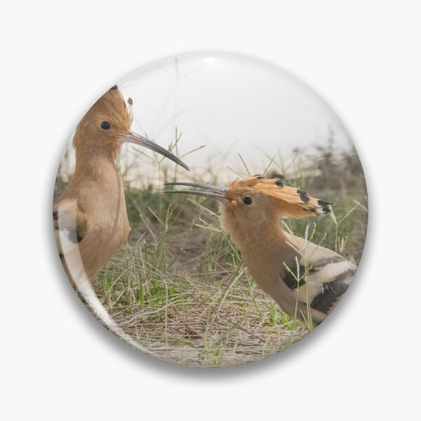 Item preview, Common Hoopoe designed and sold by LaurenTucker.