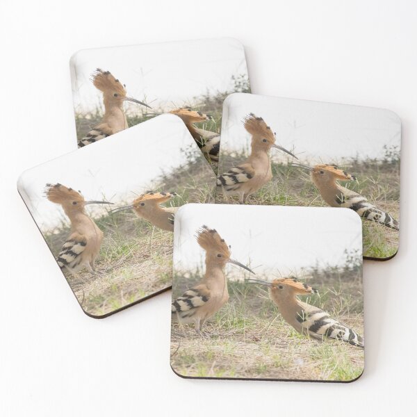Item preview, Common Hoopoe designed and sold by LaurenTucker.