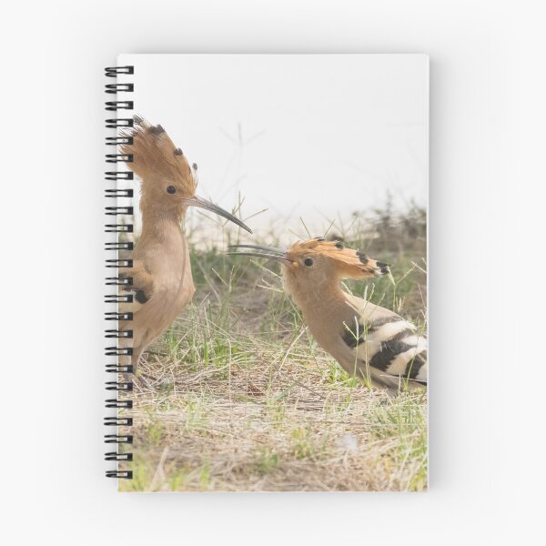 Item preview, Common Hoopoe designed and sold by LaurenTucker.