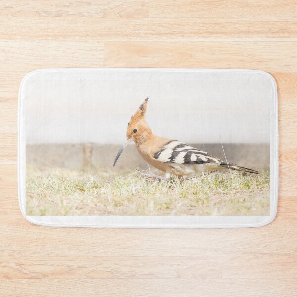 Item preview, Common Hoopoe designed and sold by LaurenTucker.