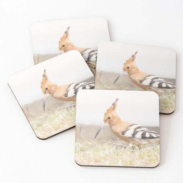 Item preview, Common Hoopoe designed and sold by LaurenTucker.