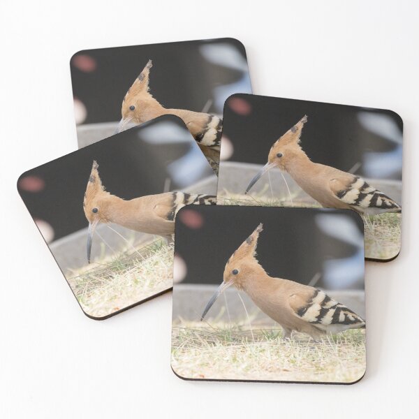 Item preview, Common Hoopoe designed and sold by LaurenTucker.