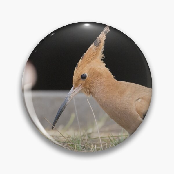 Item preview, Common Hoopoe designed and sold by LaurenTucker.