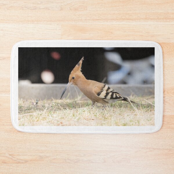 Item preview, Common Hoopoe designed and sold by LaurenTucker.