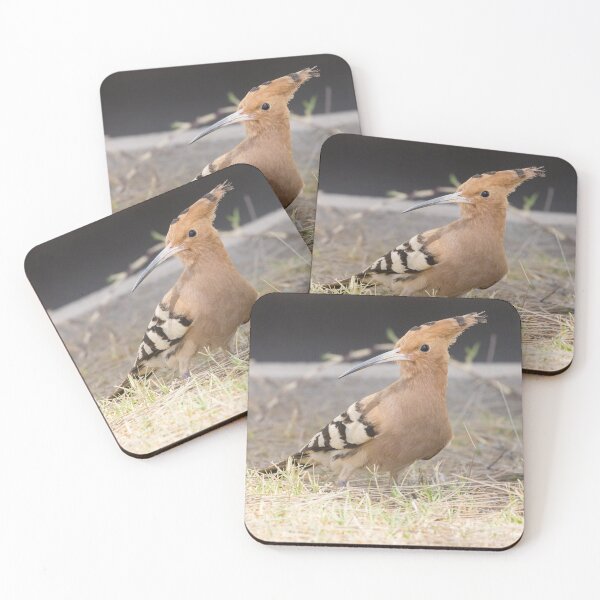 Item preview, Common Hoopoe designed and sold by LaurenTucker.