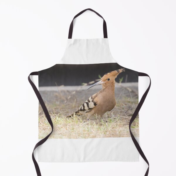 Item preview, Common Hoopoe designed and sold by LaurenTucker.