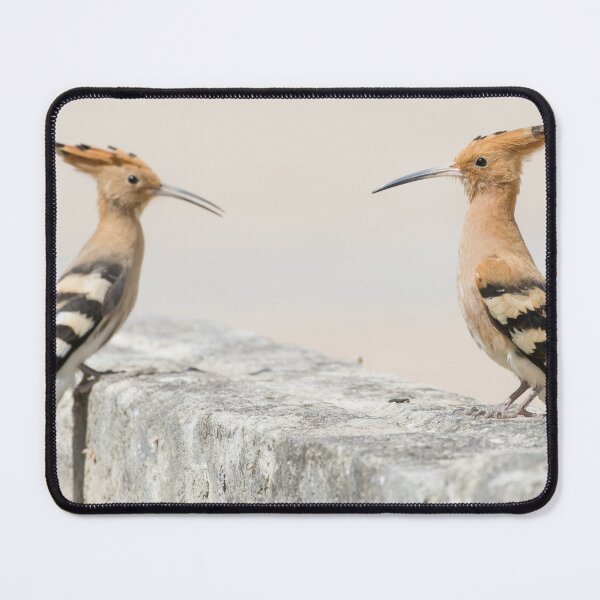 Item preview, Common Hoopoe designed and sold by LaurenTucker.