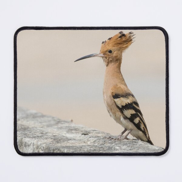 Item preview, Common Hoopoe designed and sold by LaurenTucker.