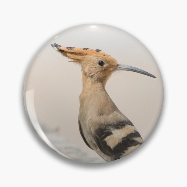 Item preview, Common Hoopoe designed and sold by LaurenTucker.