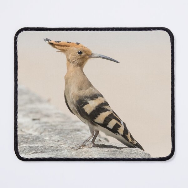 Item preview, Common Hoopoe designed and sold by LaurenTucker.
