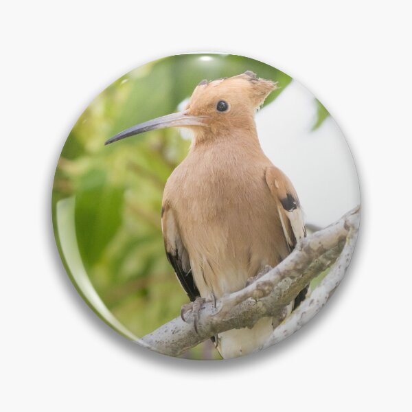 Item preview, Common Hoopoe designed and sold by LaurenTucker.