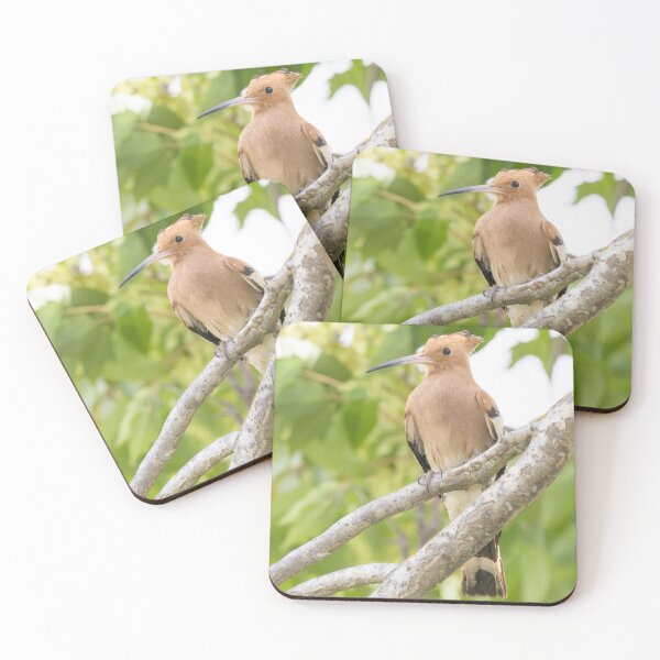 Item preview, Common Hoopoe designed and sold by LaurenTucker.