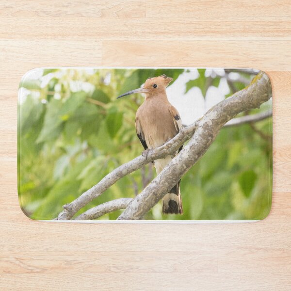 Item preview, Common Hoopoe designed and sold by LaurenTucker.
