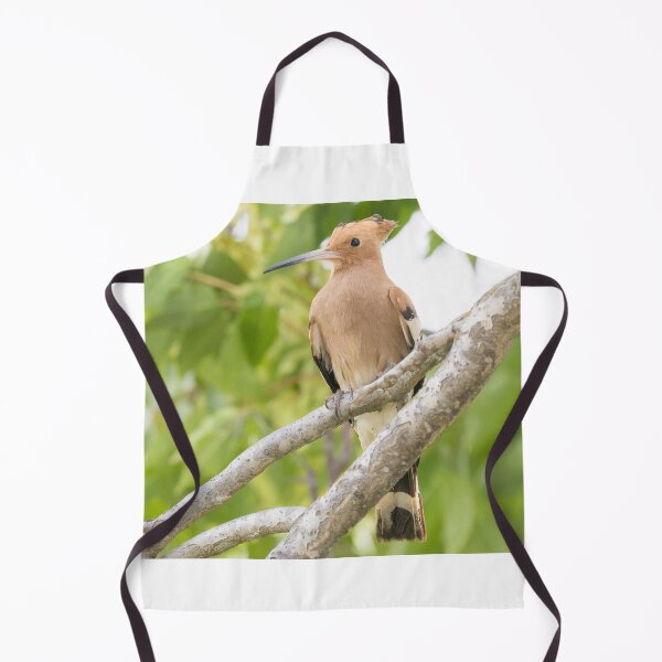 Item preview, Common Hoopoe designed and sold by LaurenTucker.