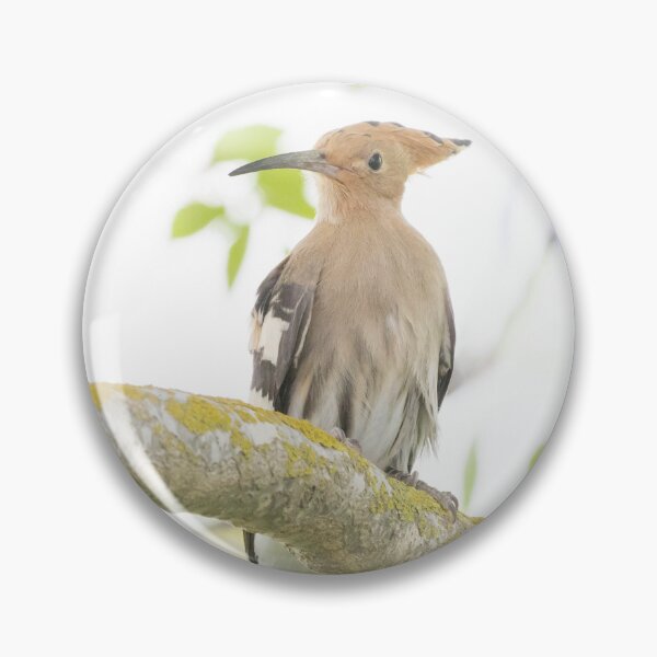 Item preview, Common Hoopoe designed and sold by LaurenTucker.