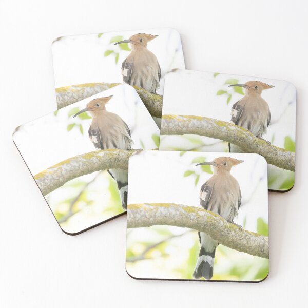 Item preview, Common Hoopoe designed and sold by LaurenTucker.