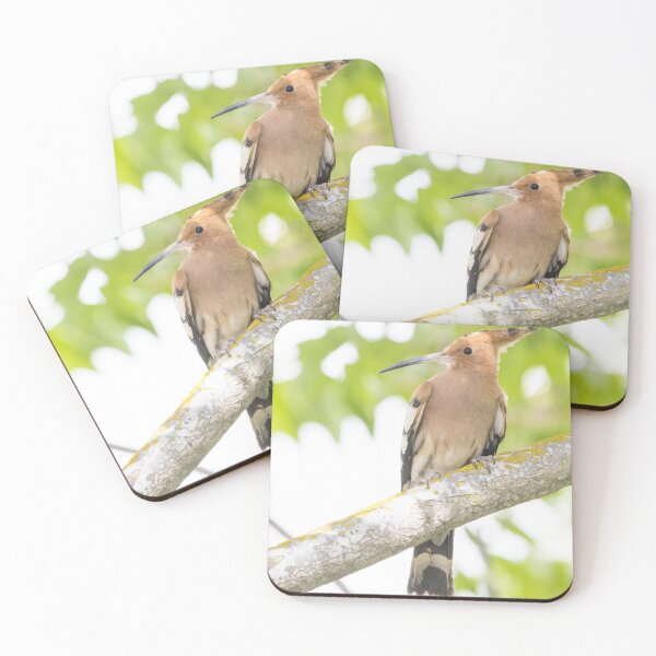 Item preview, Common Hoopoe designed and sold by LaurenTucker.