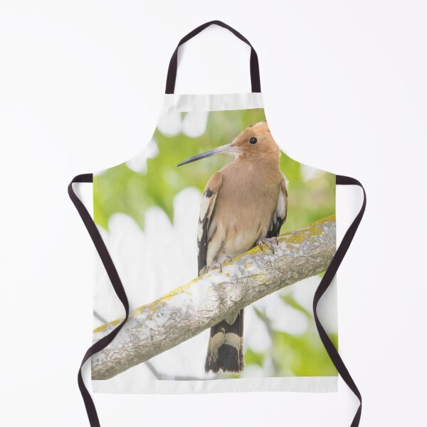 Item preview, Common Hoopoe designed and sold by LaurenTucker.