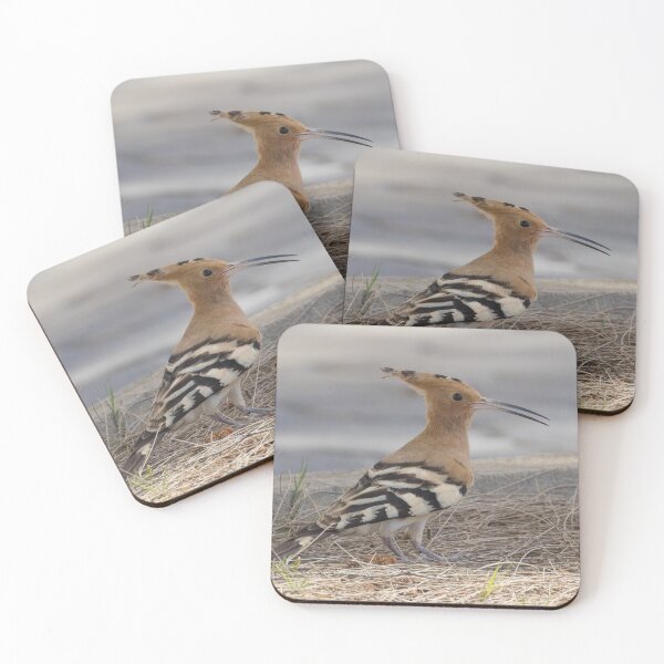 Item preview, Common Hoopoe designed and sold by LaurenTucker.