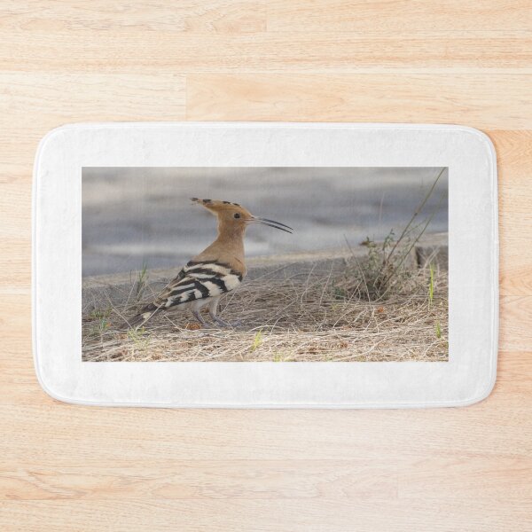 Item preview, Common Hoopoe designed and sold by LaurenTucker.