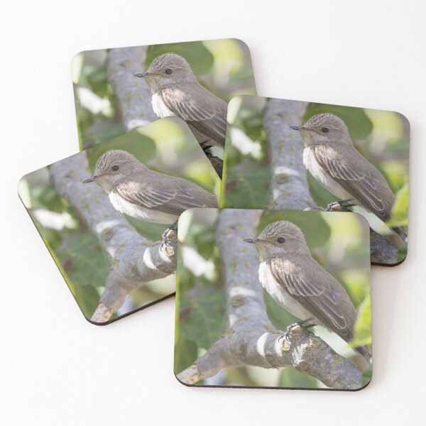 Item preview, Spotted Flycatcher designed and sold by LaurenTucker.