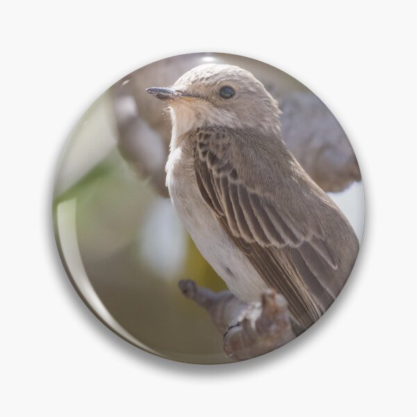 Item preview, Spotted Flycatcher designed and sold by LaurenTucker.