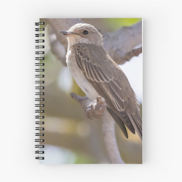 Item preview, Spotted Flycatcher designed and sold by LaurenTucker.