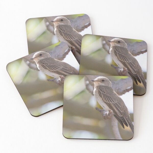 Item preview, Spotted Flycatcher designed and sold by LaurenTucker.
