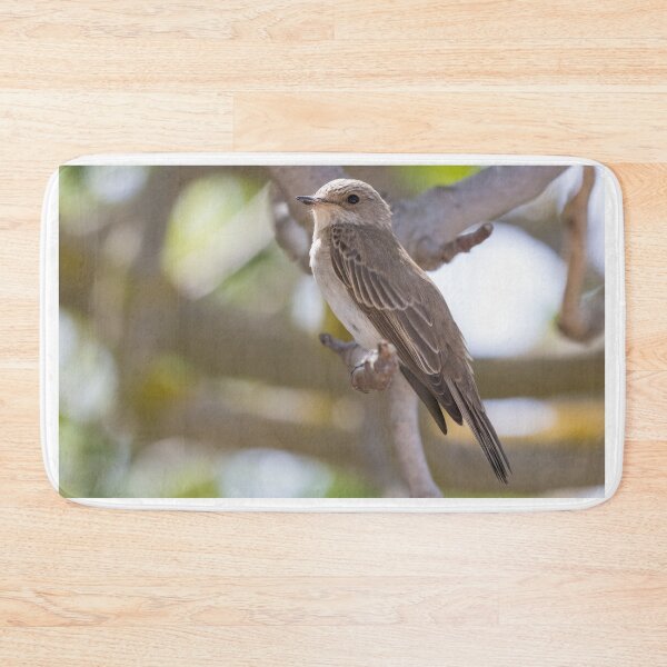 Item preview, Spotted Flycatcher designed and sold by LaurenTucker.
