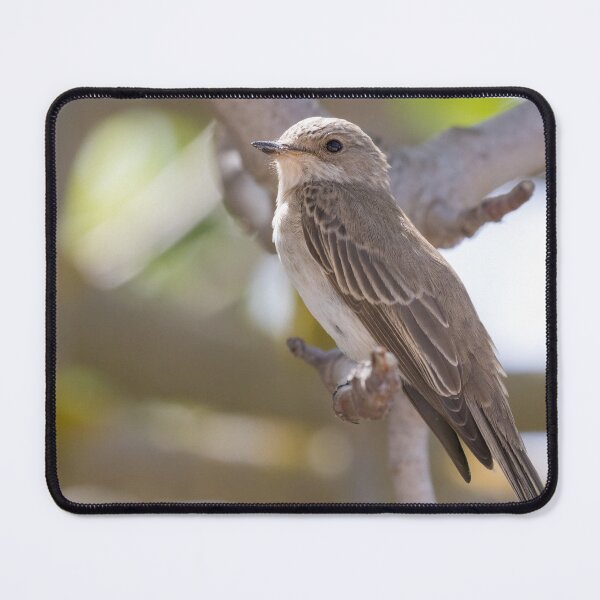 Item preview, Spotted Flycatcher designed and sold by LaurenTucker.