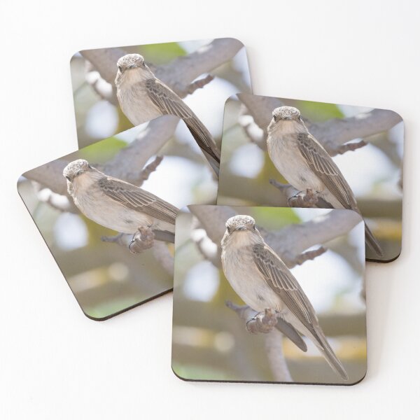 Item preview, Spotted Flycatcher designed and sold by LaurenTucker.