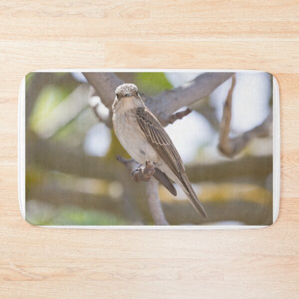Item preview, Spotted Flycatcher designed and sold by LaurenTucker.