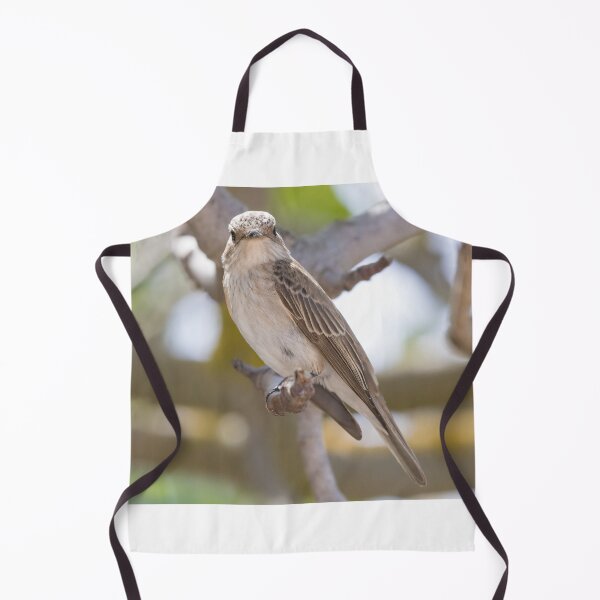 Item preview, Spotted Flycatcher designed and sold by LaurenTucker.